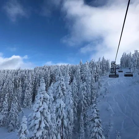 Restaurant Steiners 3*