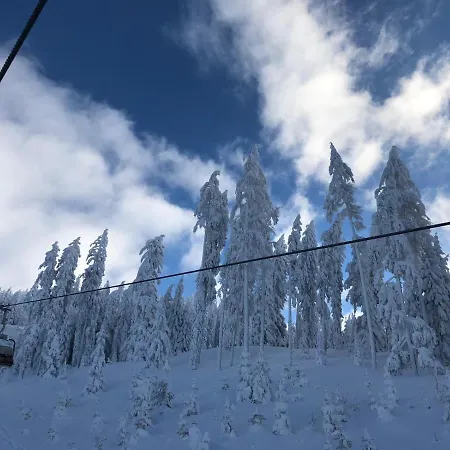 Restaurant Steiners شقة فندقية أبين ايم بونغاو